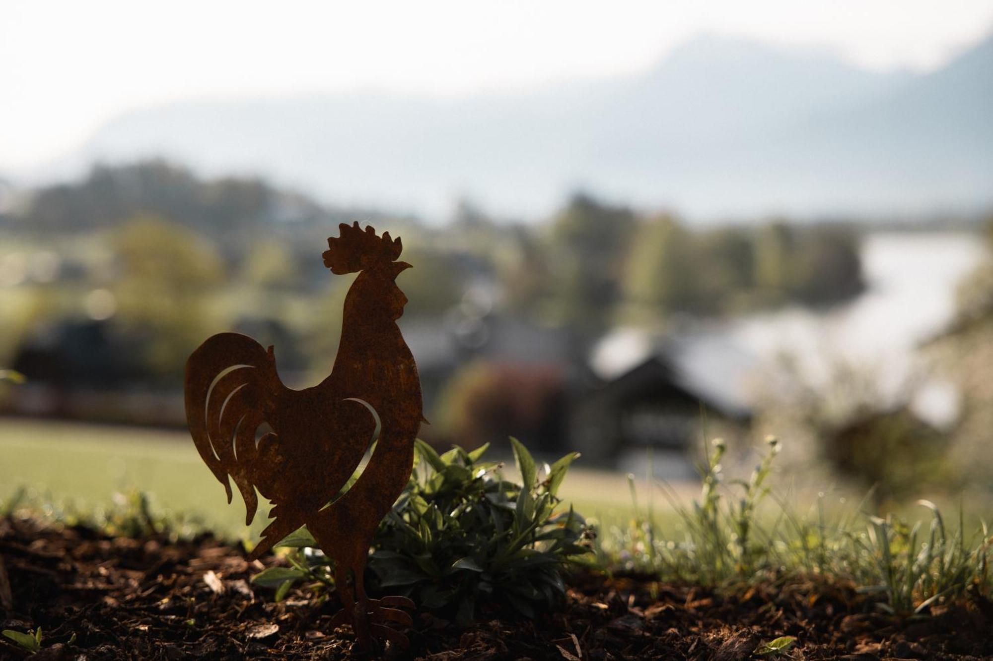 Urlaub Am Dichtlhof